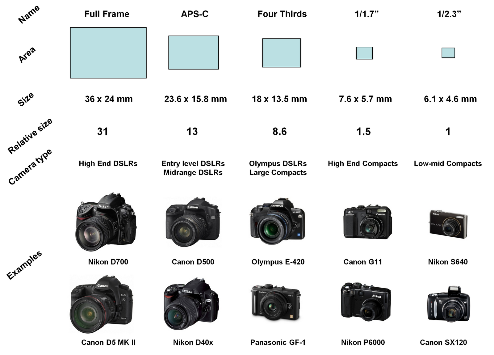 Как отличить камеру. Сравнение размеров матриц фотоаппаратов. Nikon 14-24 2.8 диаметр объектива. Canon размер матрицы. Размеры матриц фотоаппаратов Canon.